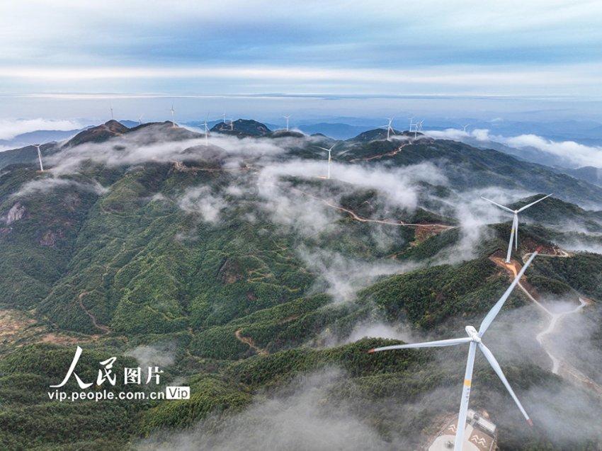 你吃过最好吃的鱼是什么鱼？游戏画面